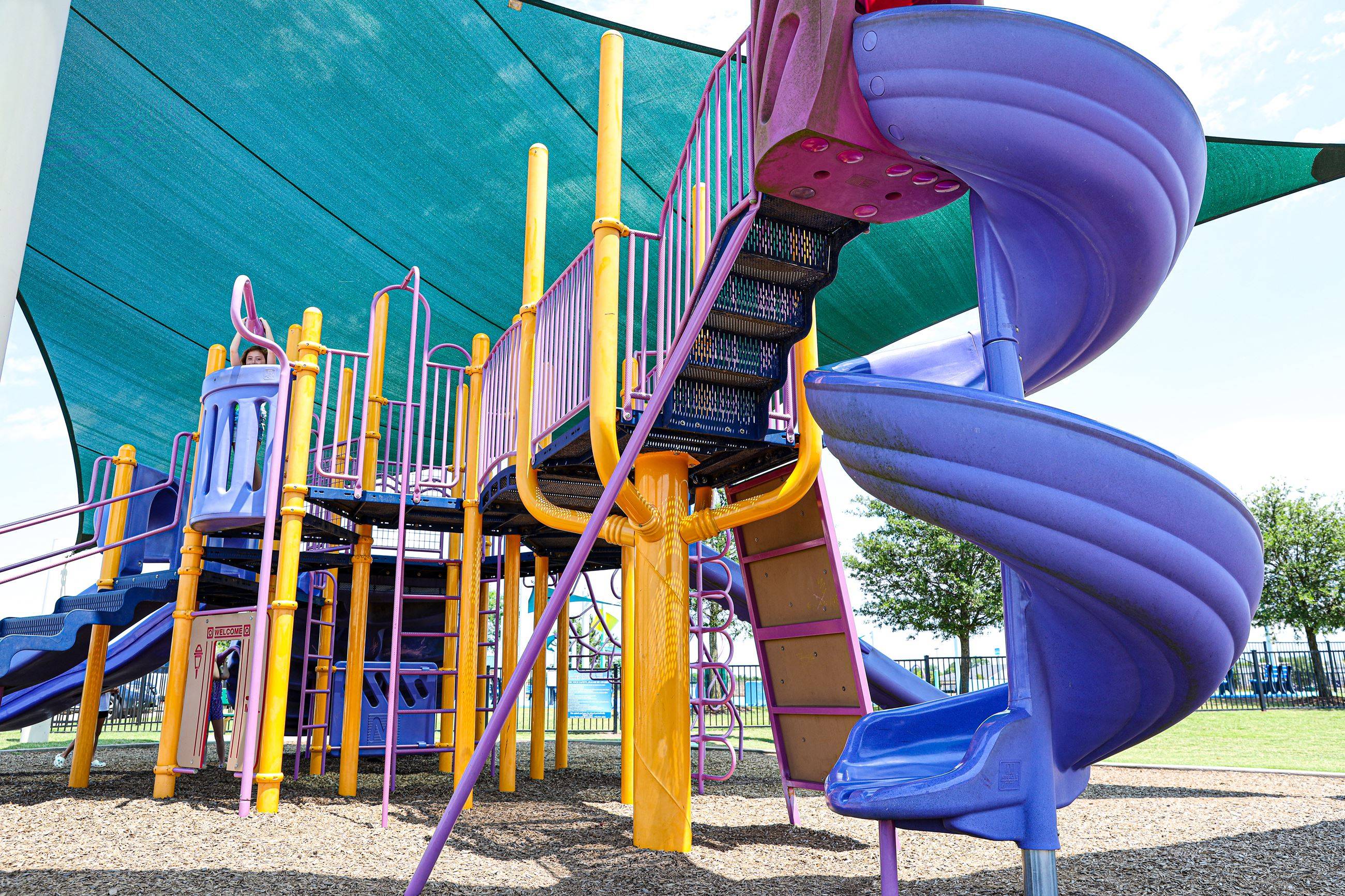 🌳 아난 서부 공원(아난 세이부 코엔) 이미지 6